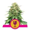 Royal Queen Seeds Critical - Una potente varietà di cannabis con genetica reale. Scopri le caratteristiche uniche di Royal Queen Seeds Critical.