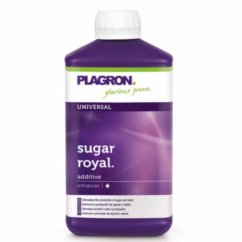 Sugar Royal di Plagron: Rafforza lo sviluppo dei fiori e la produzione di zucchero delle tue piante con questo potente supplemento.