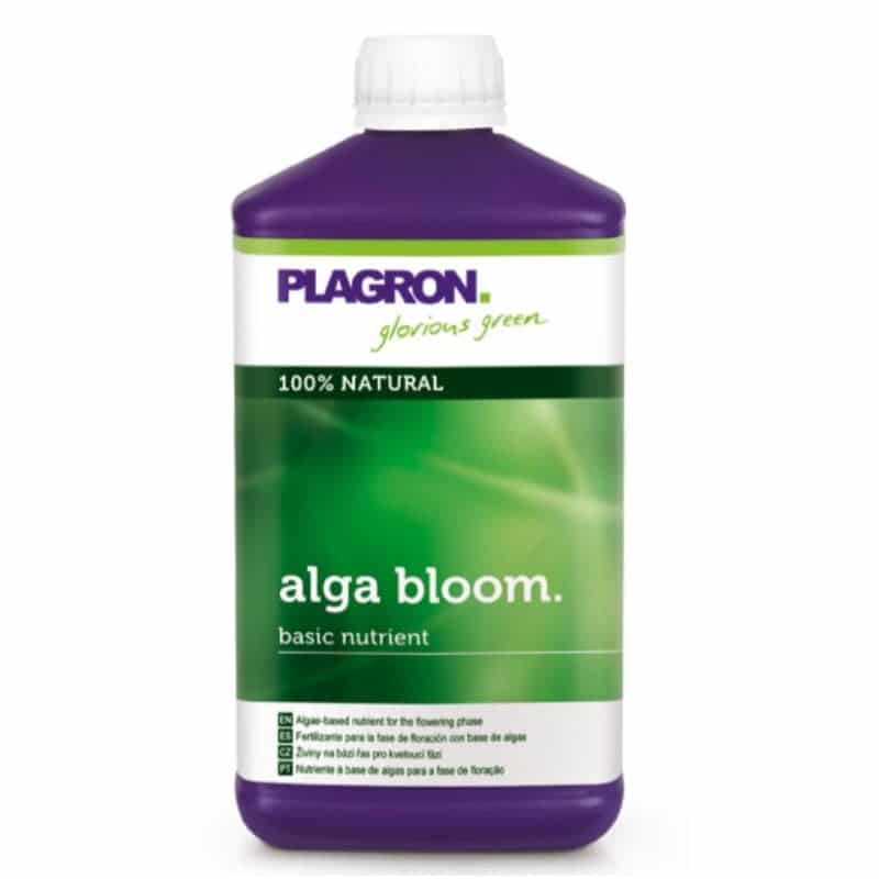 Alga Bloom di Plagron: Stimola una fioritura rigogliosa e rendimenti elevati con questo fertilizzante biologico a base di alghe.